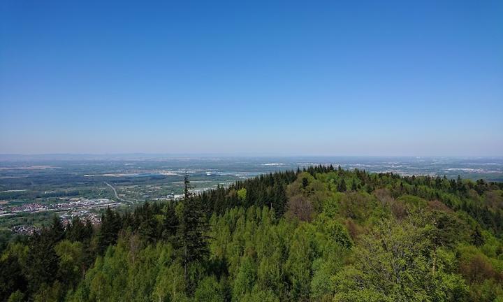 Turm Fremersberg