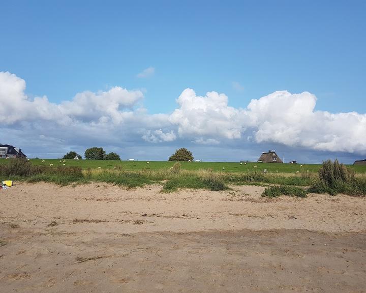 Strandfloh Bielenberg